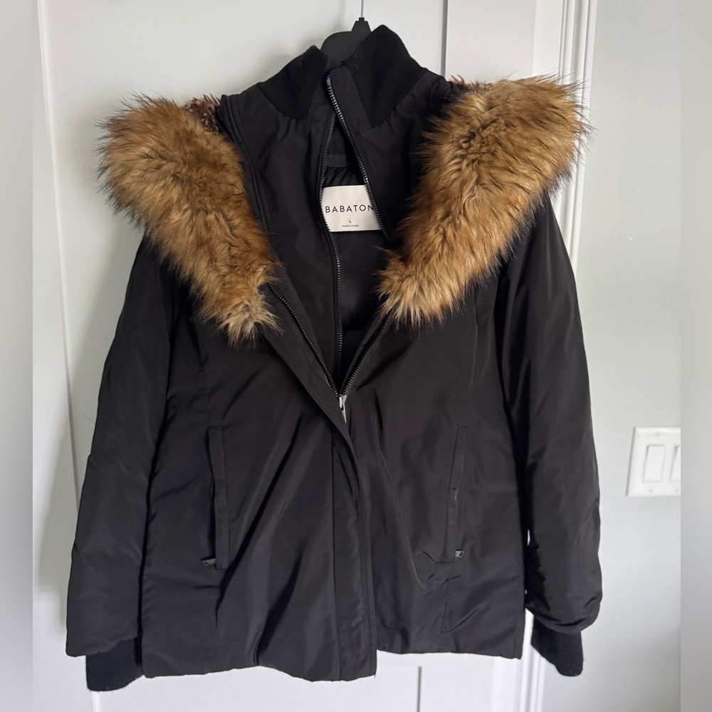 Aritzia Babaton Lindon Parka Size L
